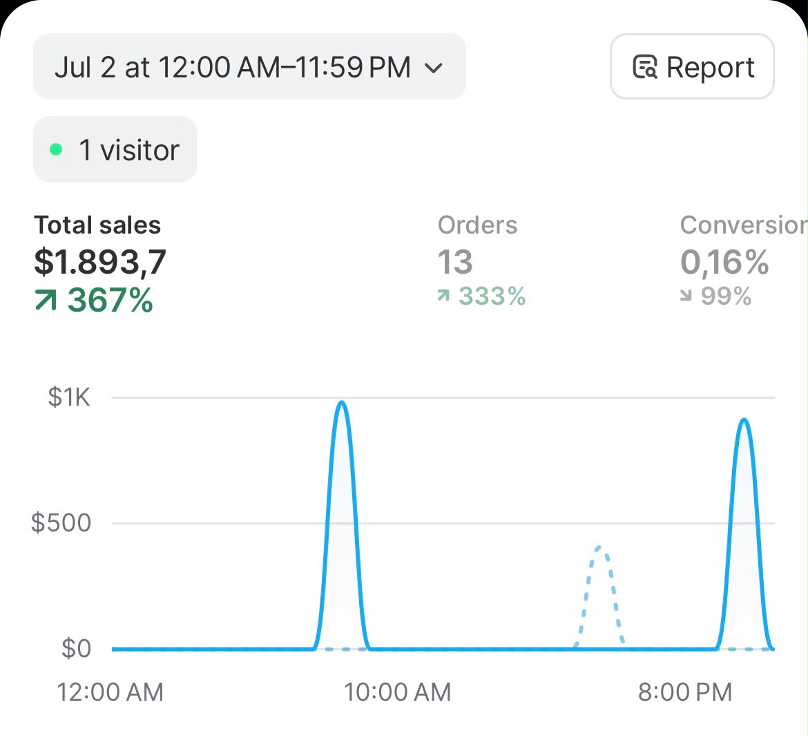 Shopify single day showing $1,893 in sales and 13 orders