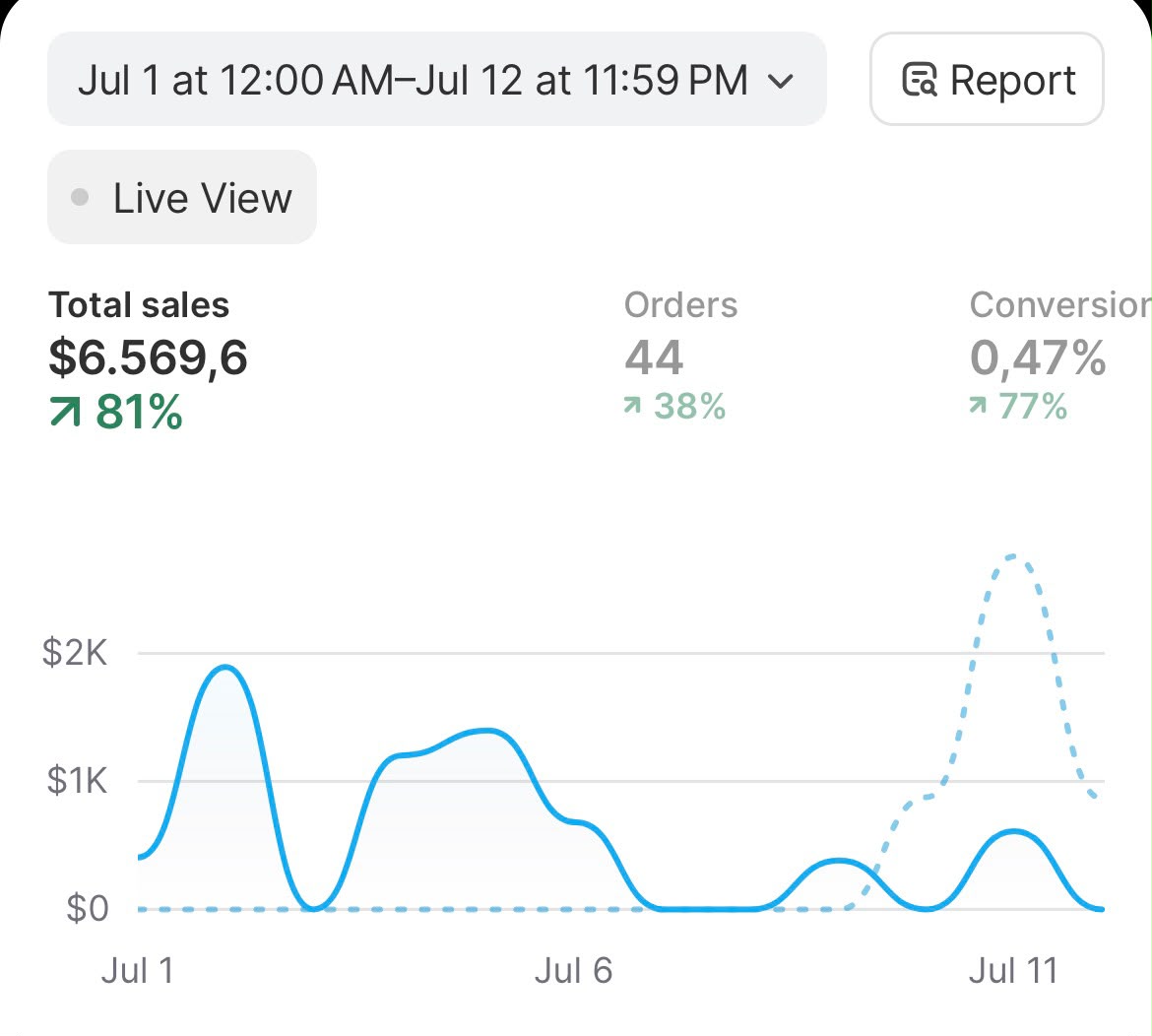 Shopify dashboard showing $6,569 in sales and 44 orders in 12 days