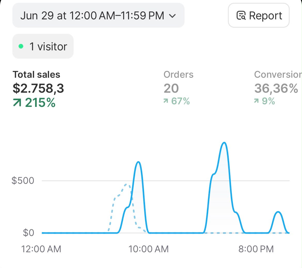 Shopify single day showing $2,758 in sales at a 36% conversion rate